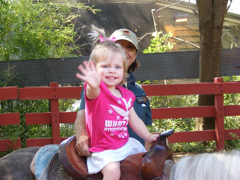 Jess2ndBDay_DALZoo (48) (Medium).JPG - Hi!  Meet my new friend "Lil' Joe!"